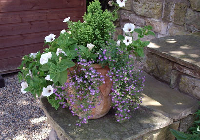 unique garden and landscape design Siena Italy
