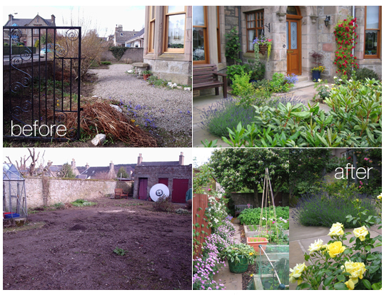 garden design by 3G Design